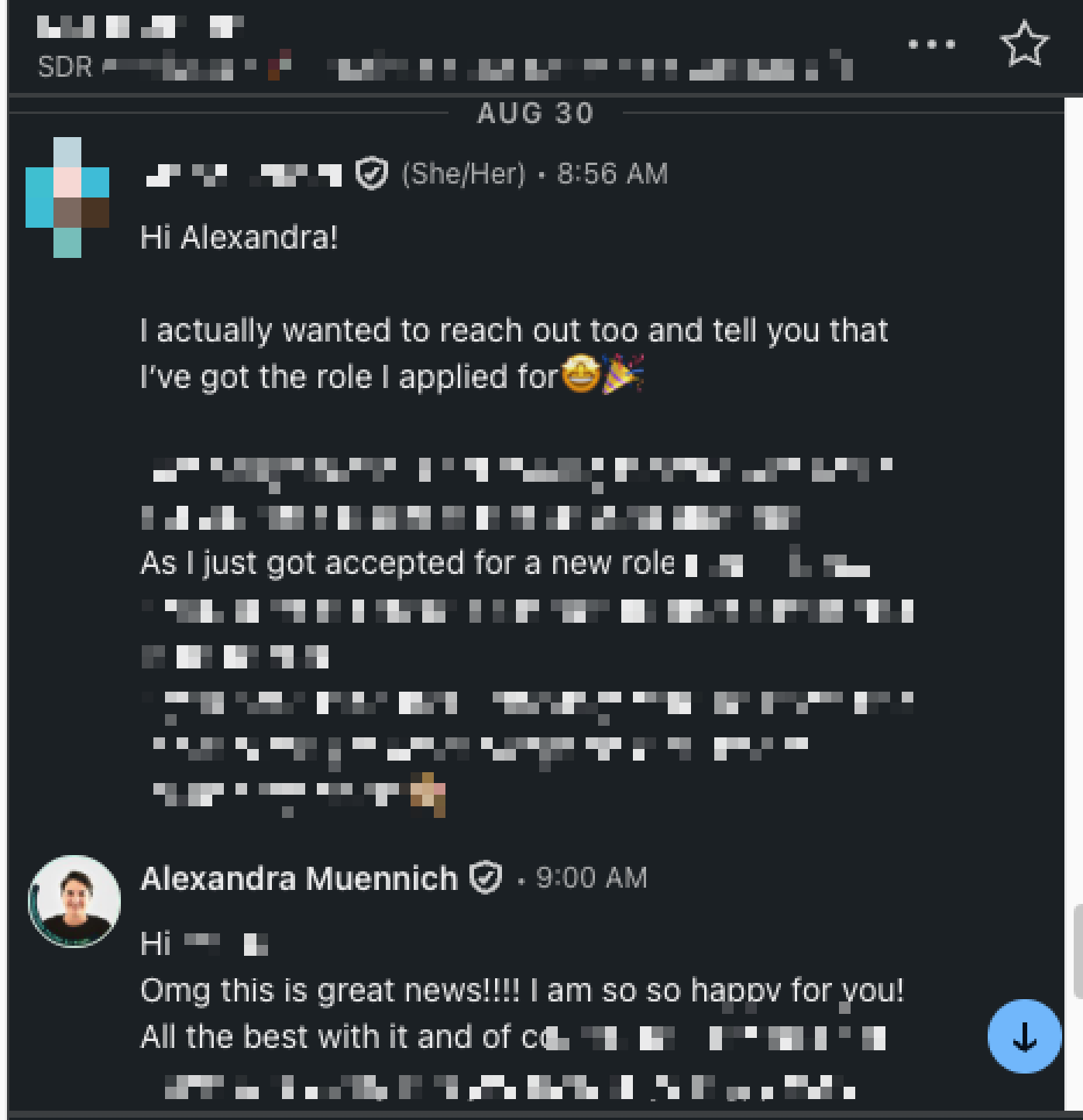 Blurred screenshot of the candidate's message sharing that she got the role